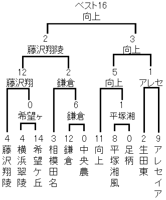 2026夏 高校野球神奈川県大会トーナメント表/藤沢翔陵、横浜翠陵、希望ケ丘、相模田名、鎌倉、中央農、向上、平塚湘風、足柄、生田東、アレセイア