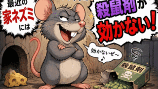 Thumbnail of post image 100